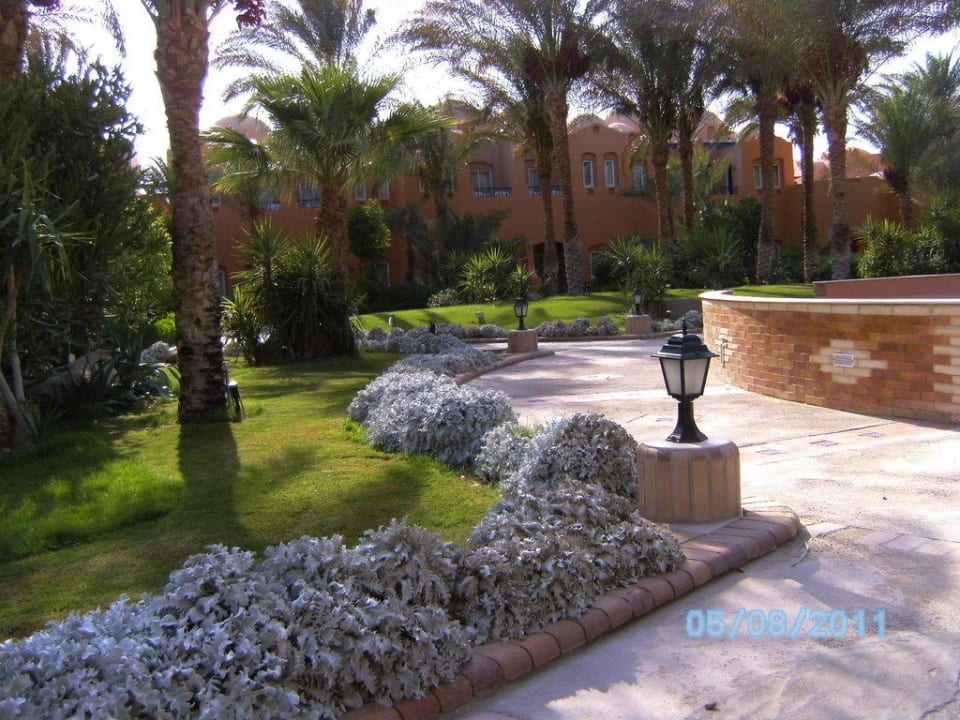 Schöne Bepflanzung Jaz Makadi Oasis Resort