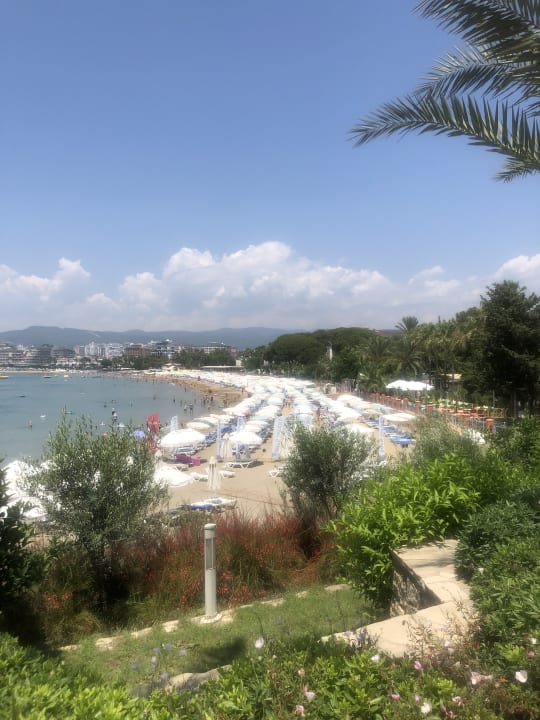 Ausblick Gold Island Selected