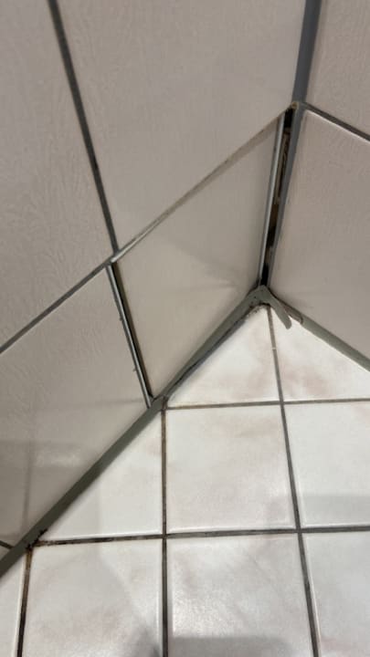 Zimmer Hotel Zum Schiff