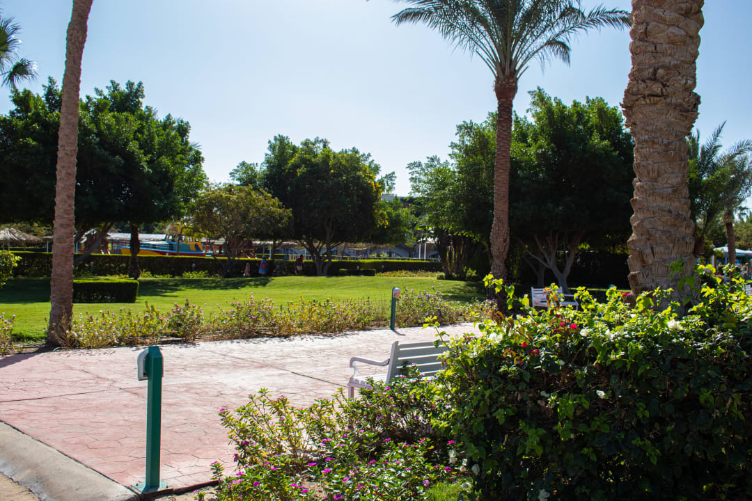 Gartenanlage Desert Rose