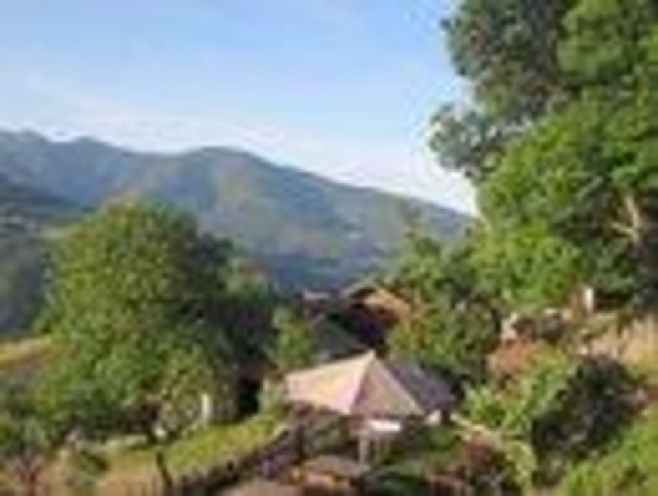 Gartenanlage Landgasthof Wöhrmaurer