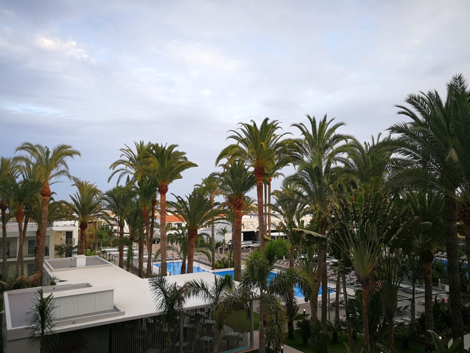 Ausblick Hotel Riu Palace Palmeras