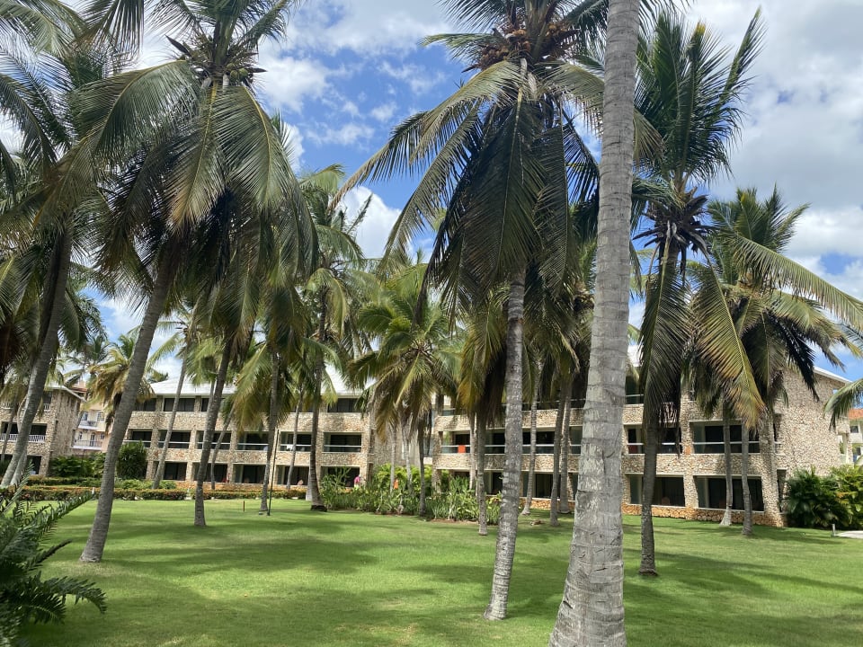 Gartenanlage Hotel Viva Dominicus Beach by Wyndham - All Inclusive Resort