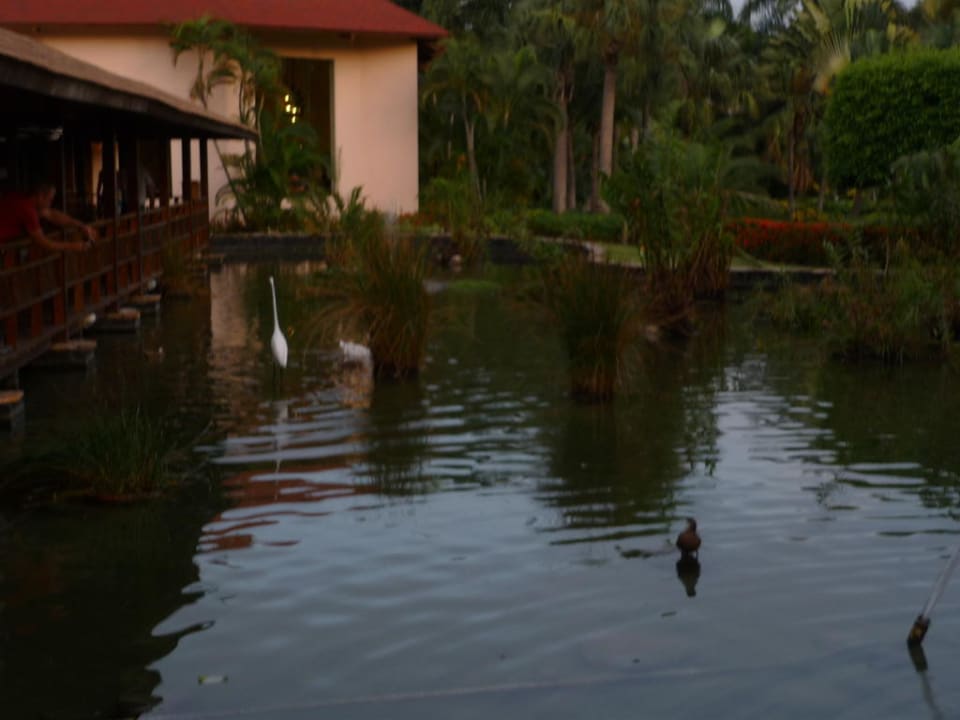 A la carte Restaurant Chinesisch Grand Palladium Select Bávaro Resort & Spa