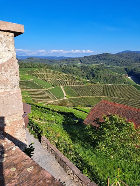 Ausblick Puri Lumbung Cottages