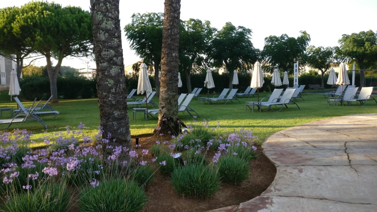 Gartenanlage Hipotels Hipocampo Palace & Spa