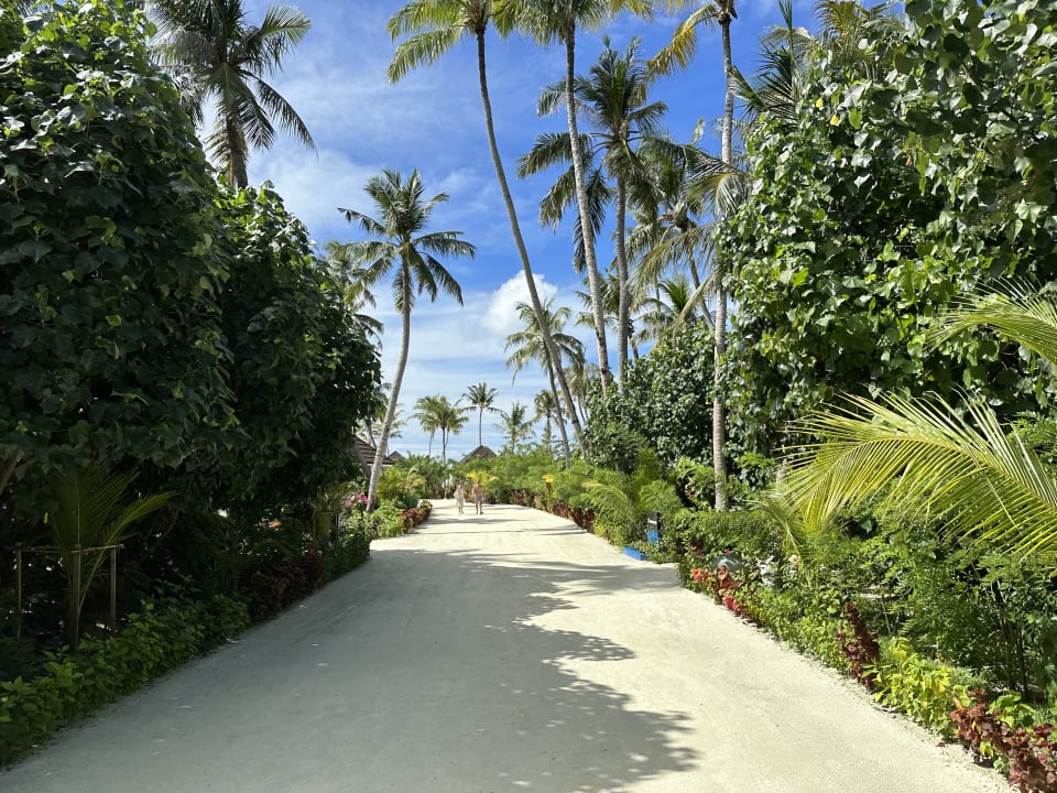 Gartenanlage TUI BLUE Olhuveli Romance