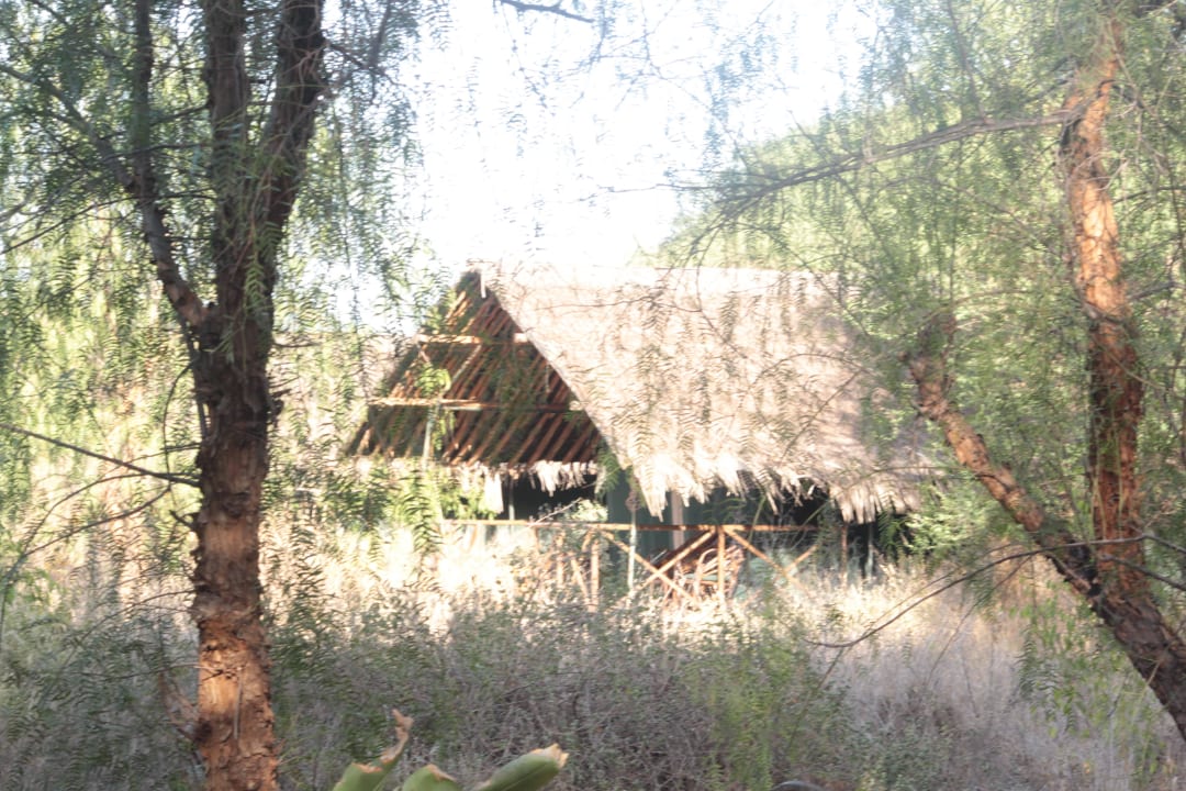 Zelter von außen Kibo Safari Camp