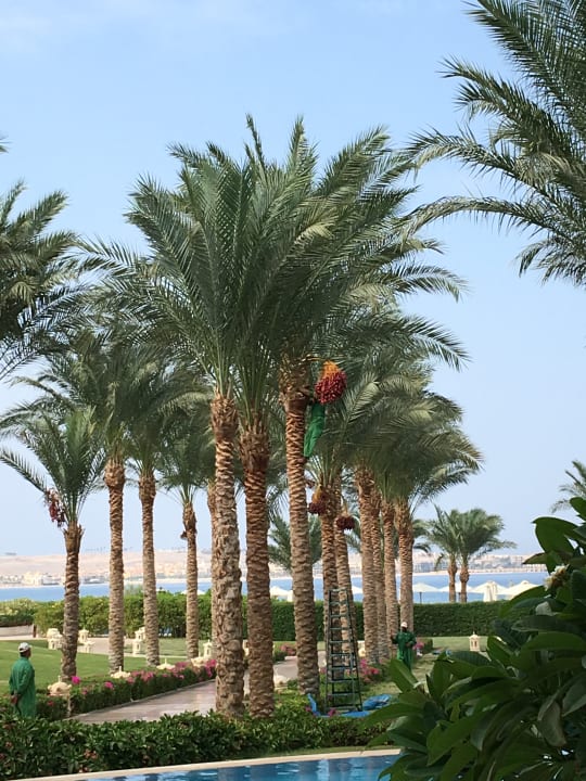 Ausblick Baron Palace Sahl Hasheesh