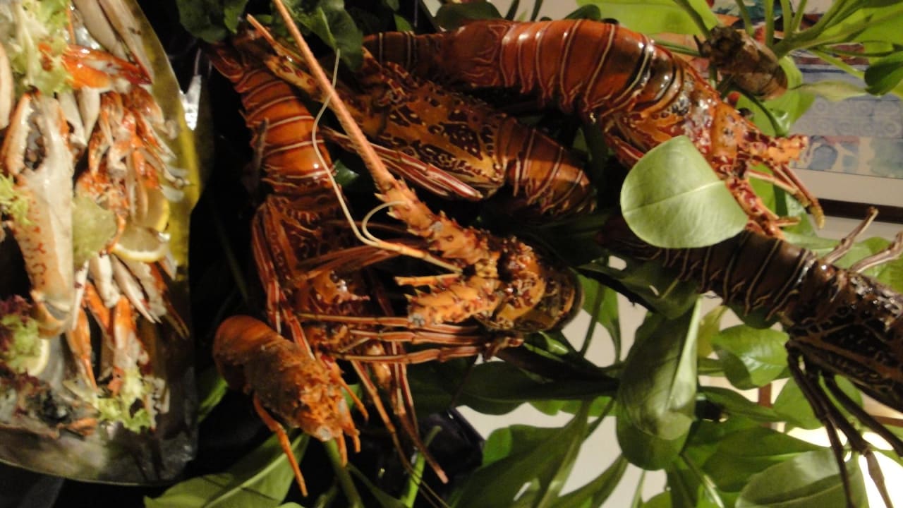 Wie gemalt NH Collection Maldives Reethi Resort