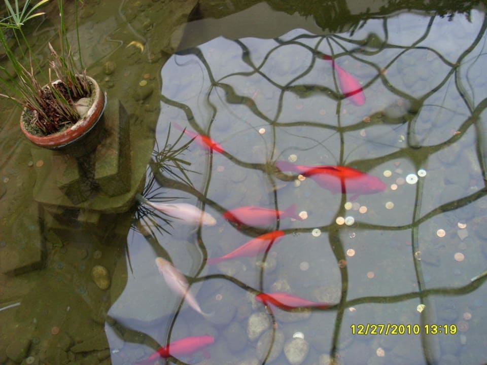 Galerie Ferienwohnungen Ferienpark Weissenhäuser Strand