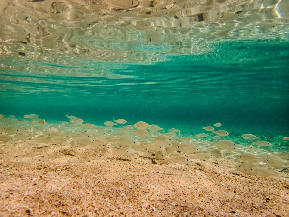 Sport & Freizeit Pyramisa Beach Resort Sahl Hasheesh