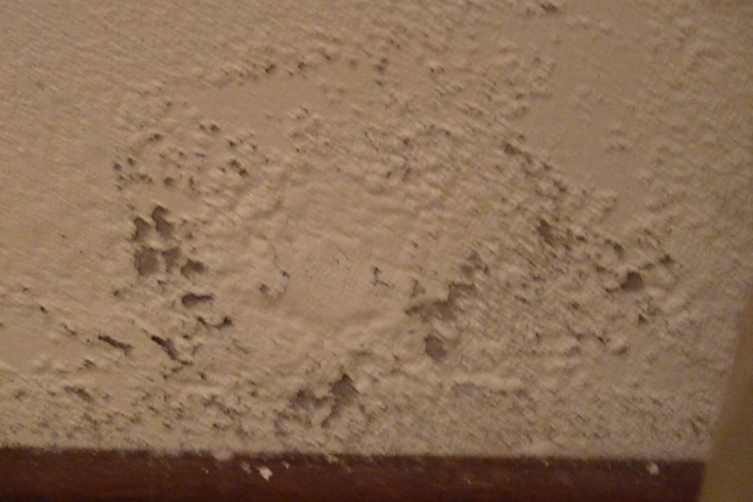 Feuchte Wände Guesthouse The Thorntree Country House