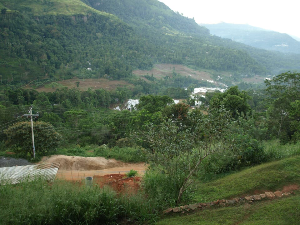 Blick vom Balkon des Restaurants Oak-Ray Hotel Tea Bush Ramboda