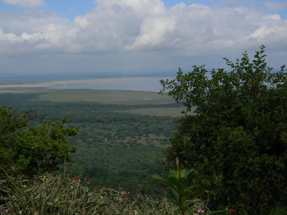 Lake Manyara Manyara Wildlife Safari Camp