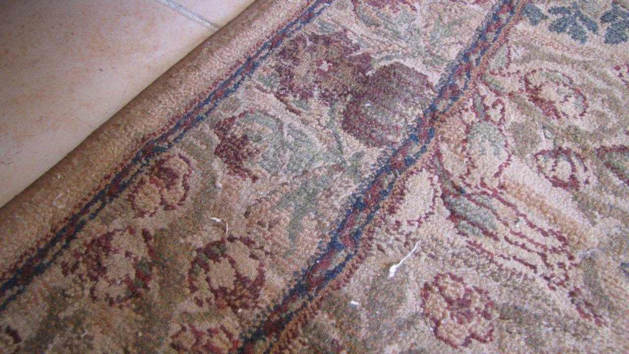 Прикроватный коврик Riviera Aqua Park Resort