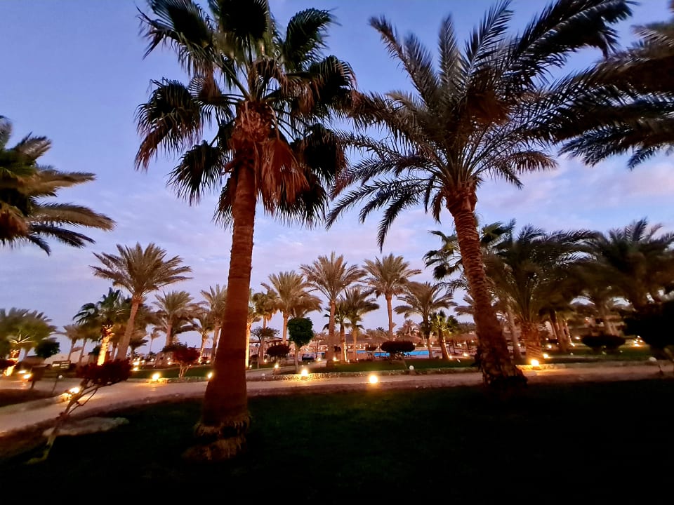 Gartenanlage Three Corners Sea Beach Resort