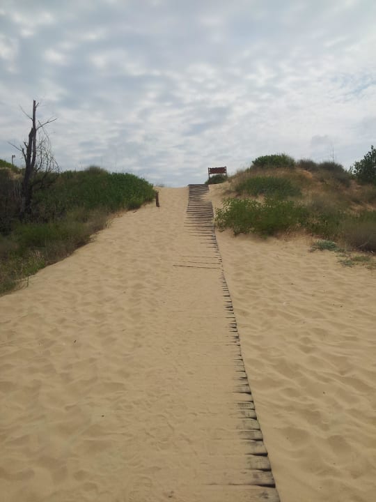 Weg zum Strand Hotel Tiara Beach