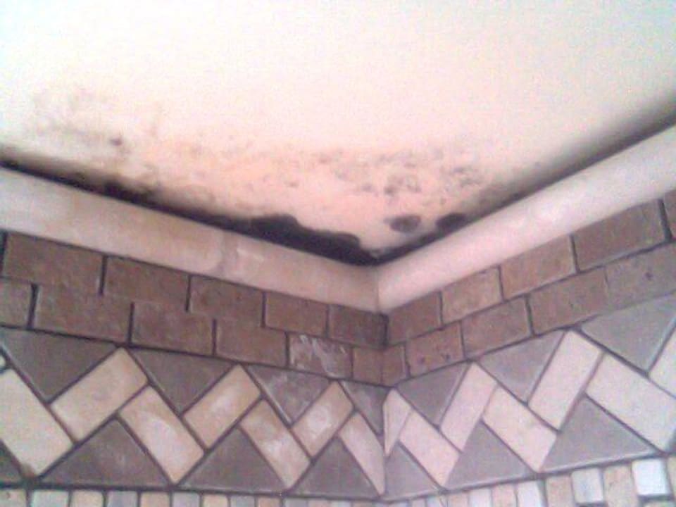 Schimmel im Restaurant Andalucia Beach Hotel & Residence