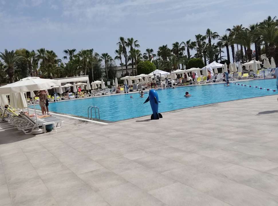 Pool Delphin Deluxe Resort