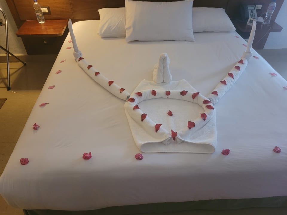 Zimmer Stella Garden Resort & Spa, Makadi Bay