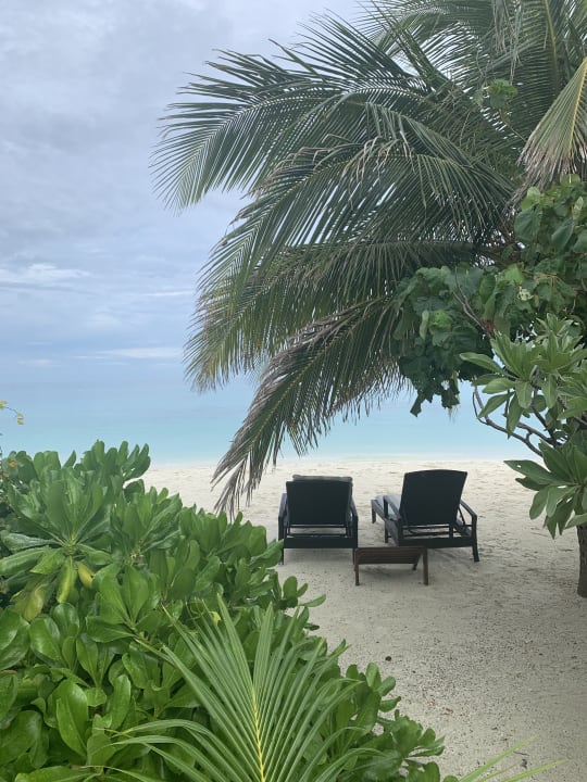 Strand Summer Island Maldives