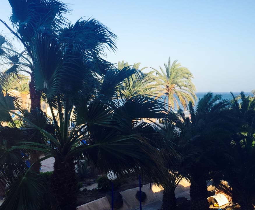 Ausblick SBH Fuerteventura Playa