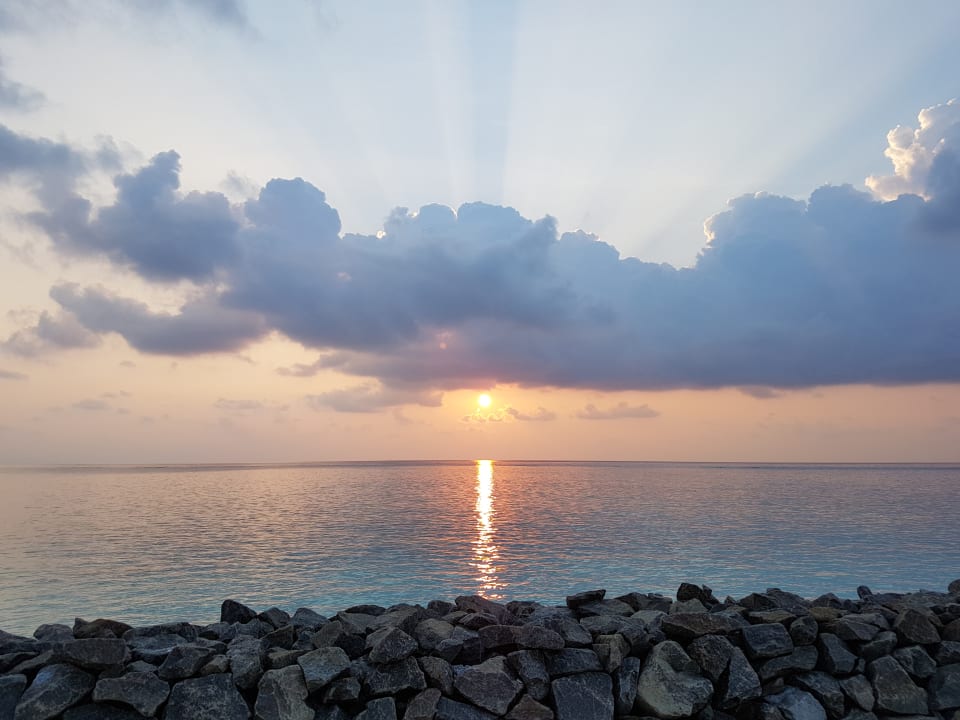 Strand Summer Island Maldives