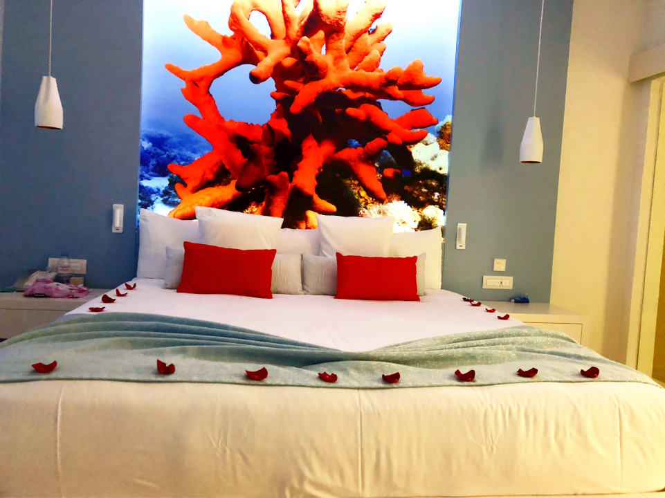 Zimmer Iberostar Selection Coral Cancun