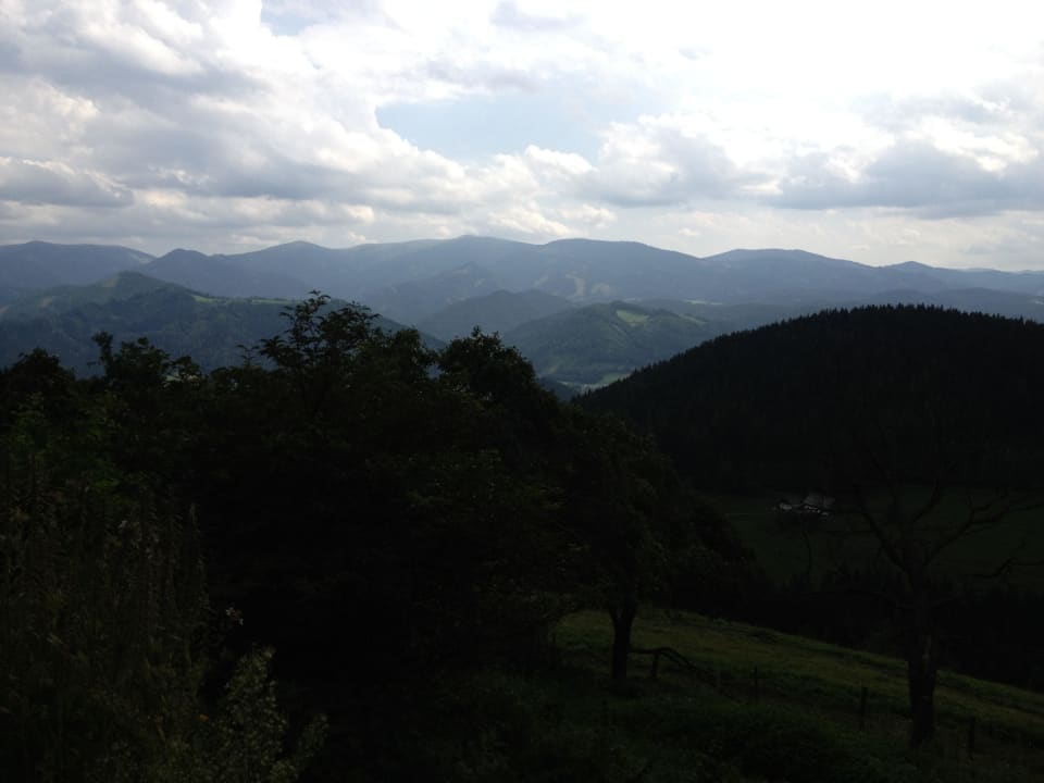 Bienenalm LUXGUT - OLIVIA