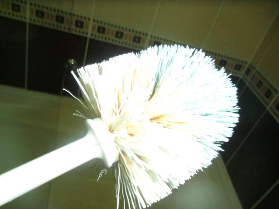 Verschmutze Klobürste Hotel Nish Bodrum Resort