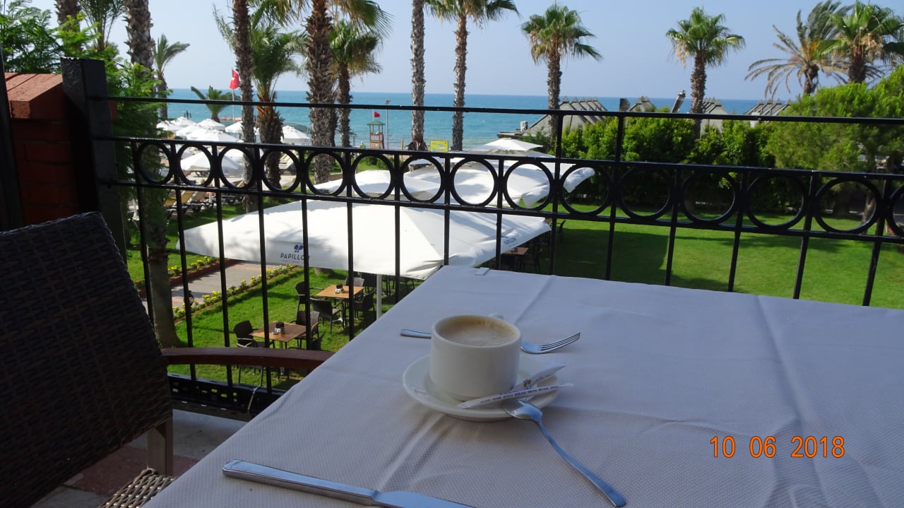 Blick beim Frühstücken Papillon Belvil