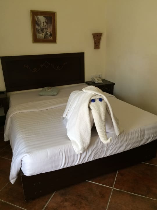 Zimmer Three Corners Sea Beach Resort