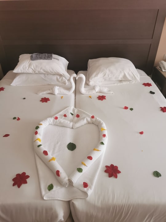 Zimmer Jaz Dar EL Madina