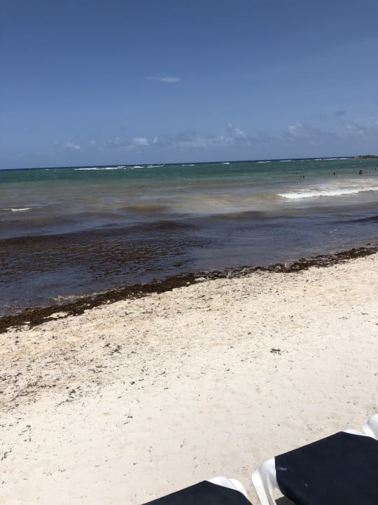 Strand Grand Palladium Kantenah Resort & Spa