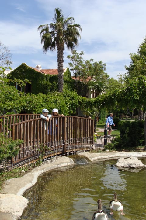 Lokalne kaczki Club Tuana Fethiye