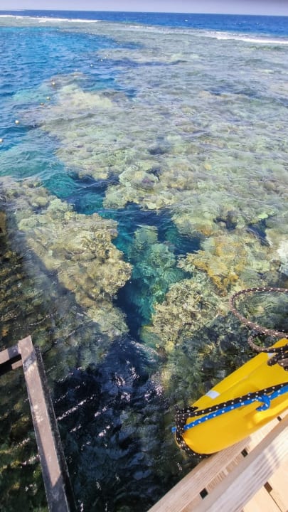 Strand Malikia Resort Abu Dabbab