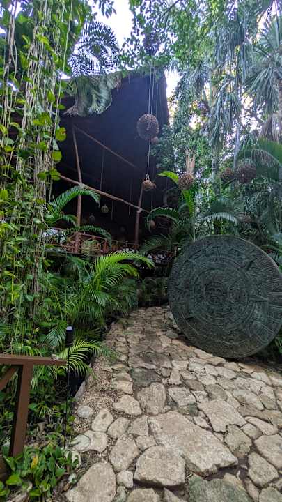 Gastro Viva Azteca by Wyndham - All Inclusive Resort