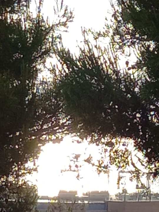 Ausblick Zafiro Bahia