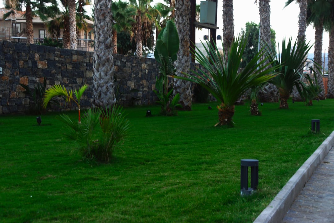 Gartenanlage Hotel Aphrodite Beach Club
