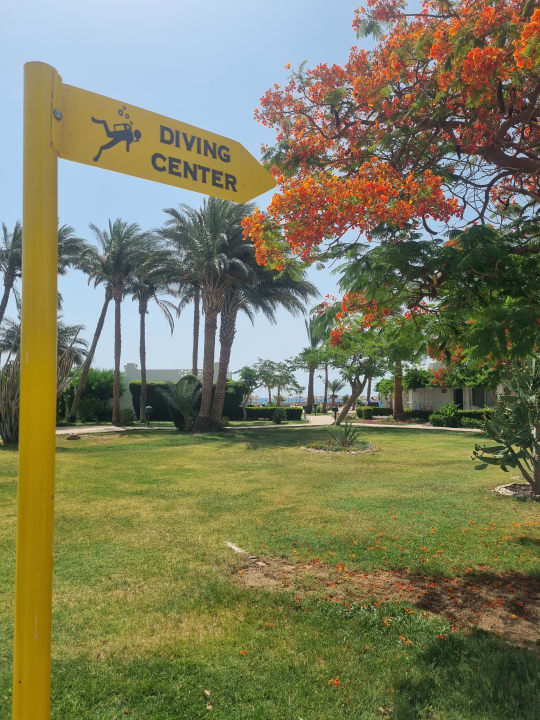 Garten Shams Safaga Resort