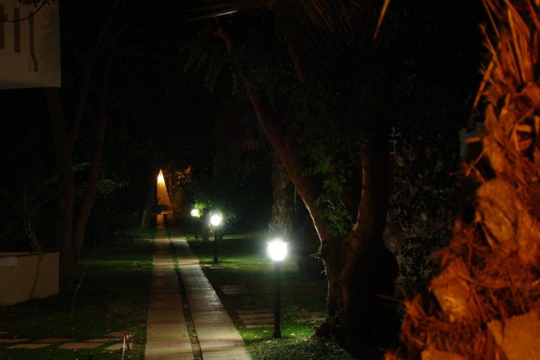 Gartenanlage by night Gaia Garden Hotel