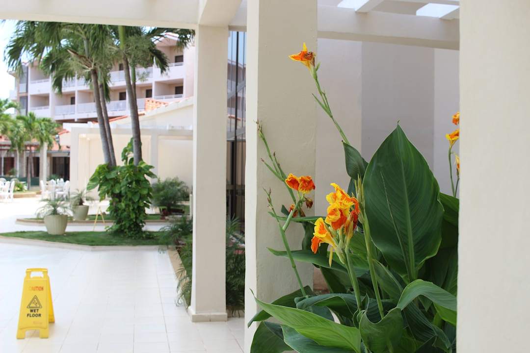 Sonstiges Sirenis Tropical Varadero