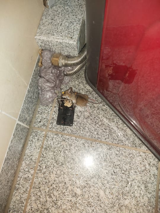 Zimmer Hotel Ferienpark Merkelbach