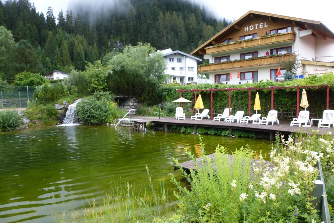 Der Schwimmteich ist ein Traum Hotel Panorama