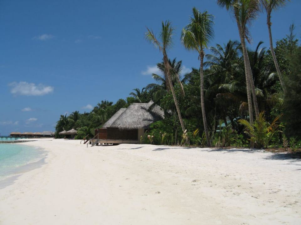 Beach Bungi Veligandu Maldives Resort Island