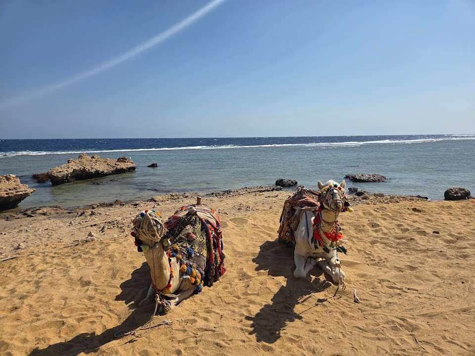 Strand Akassia Swiss Resort