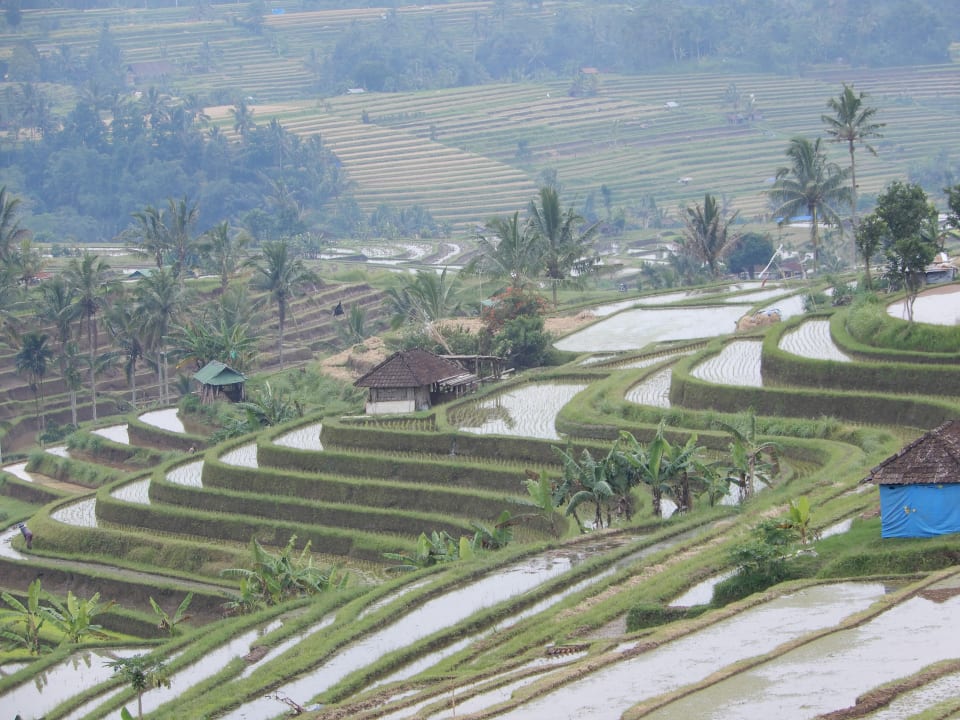 Ausblick Hotel Keraton Jimbaran Resort