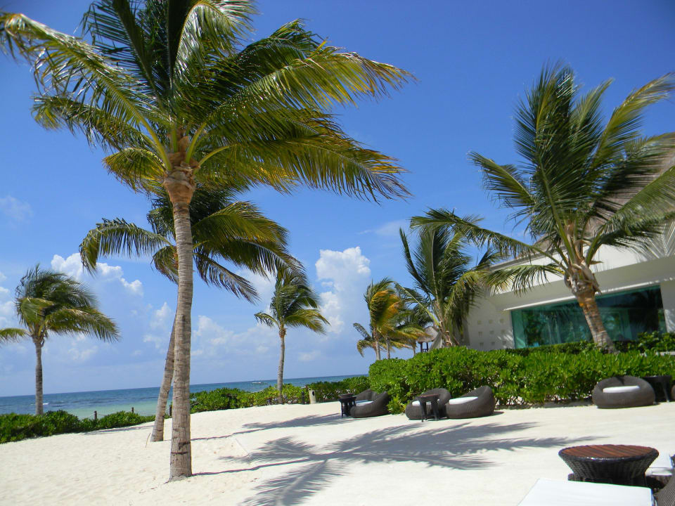 Strand neben  VIP - Bereich BlueBay Grand Esmeralda