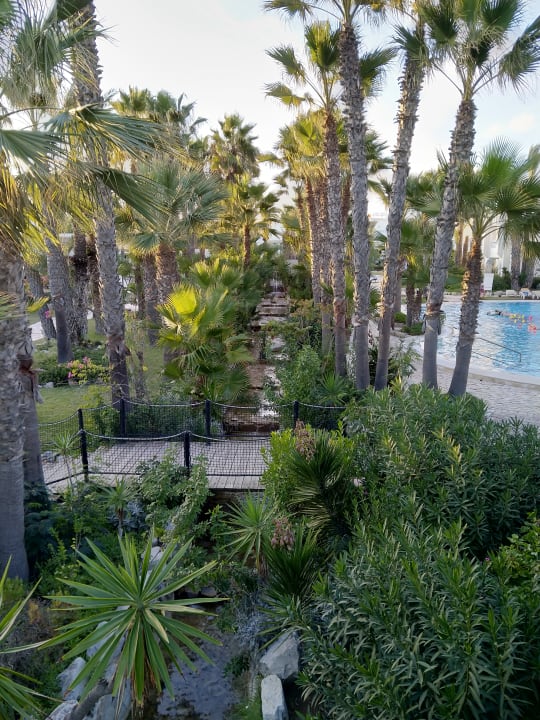 Ausblick TUI MAGIC LIFE Africana